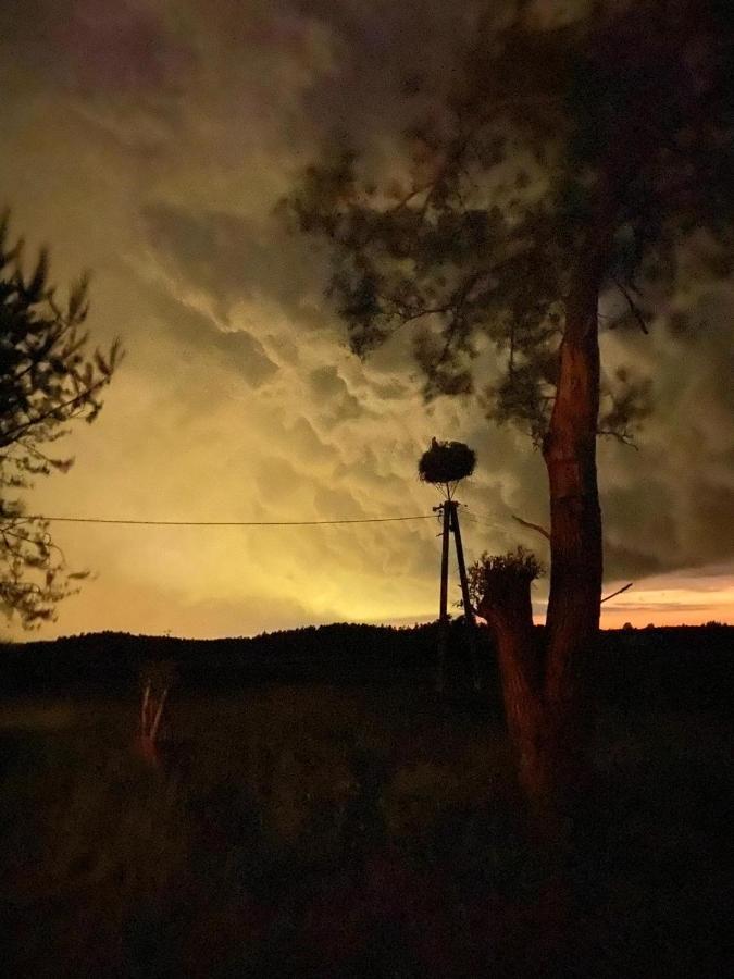 Willa Pod bocianim gniazdem Stary Folwark Zewnętrze zdjęcie